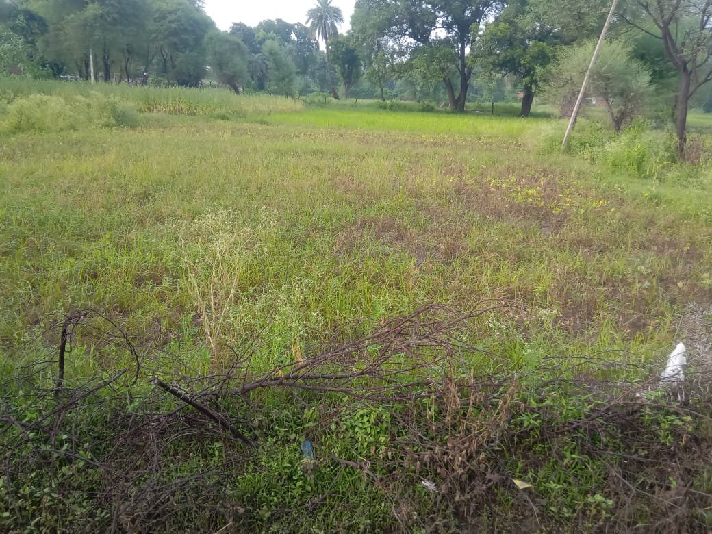 Fields filled with water, crops ruined, farmers upset