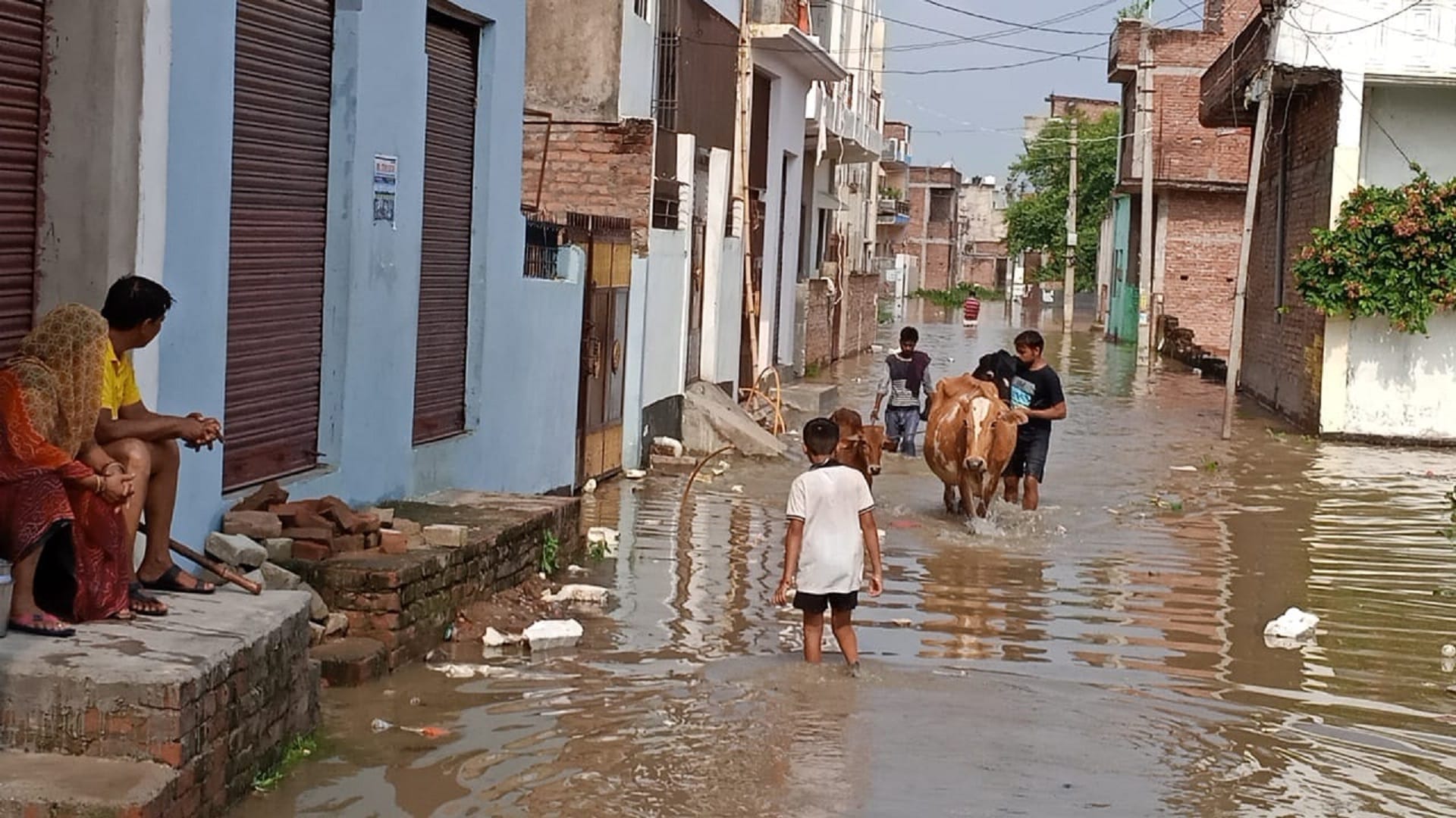 flood in Kashi in pictures: House ghats and temples submerged boats are on the road