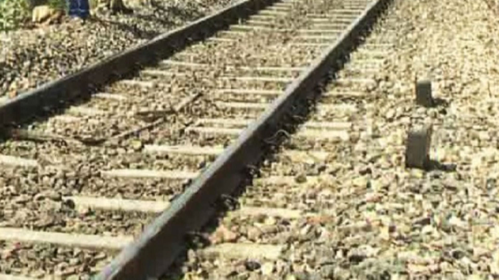 Stoppages of Meerut-Hastinapur, Bijnor will be decided, construction of sports university will start in15 days