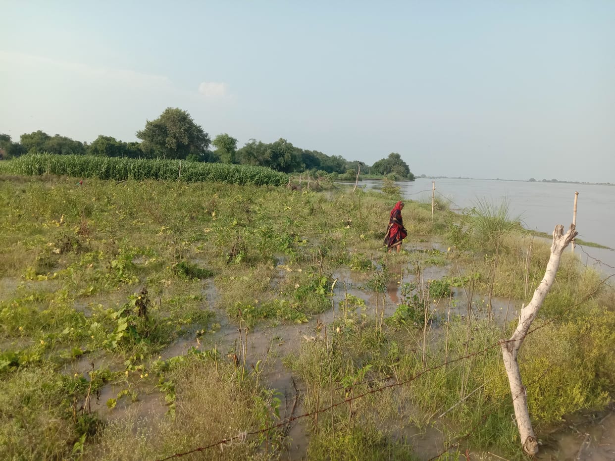 Ganga water below one and a half meters from the highest flood point