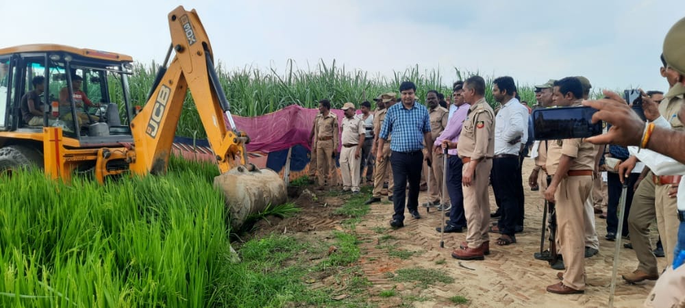 forest land cleared for forty years on order of supreme court