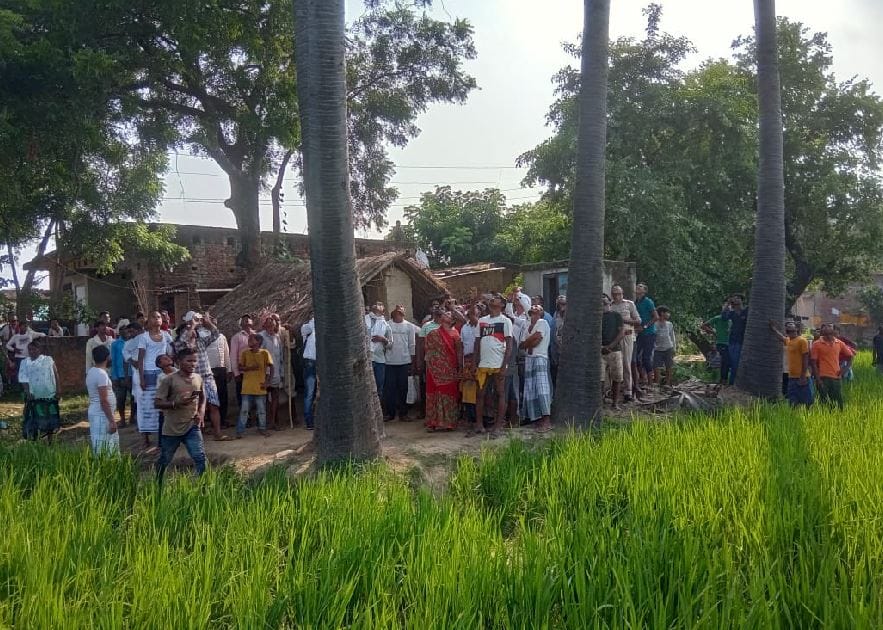 man living on palm tree in mau from last month police failed to take it off