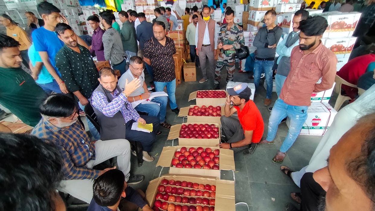 apple prize collapse in mandi