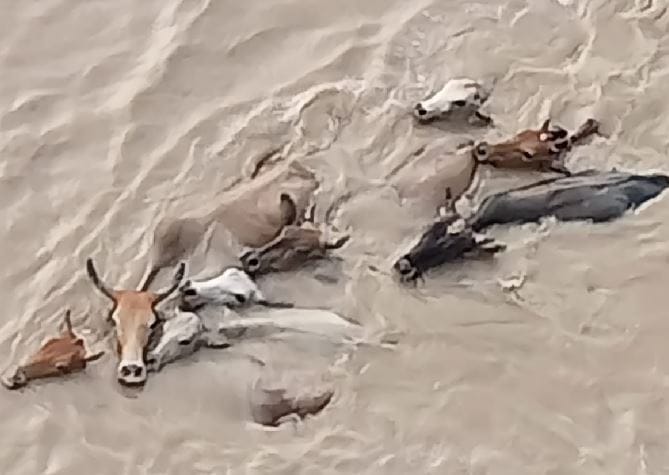 Ganga in Purvanchal many villages affected by floods from varanasi to Ballia