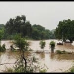 सांकेतिक तस्वीर