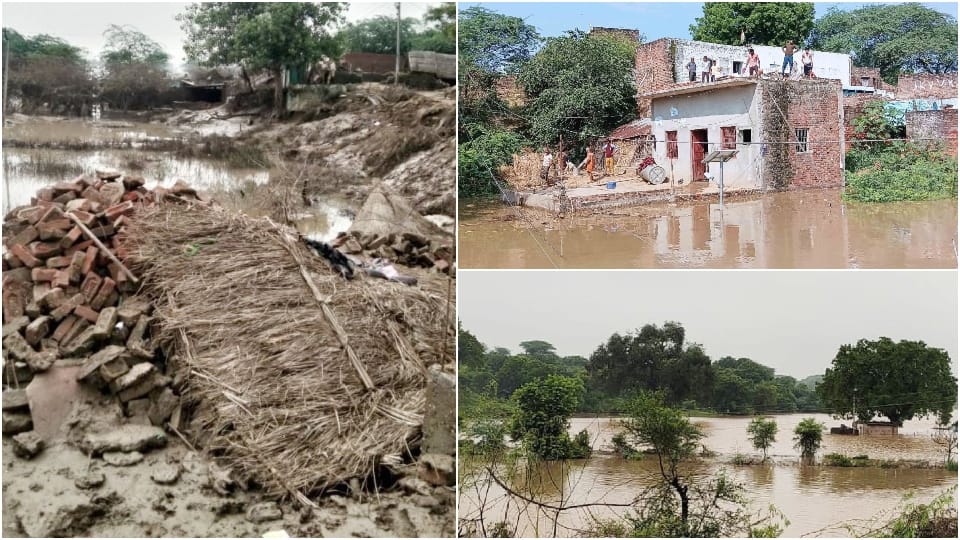 crops ruined and many houses collapsed due to chambal floods in agra