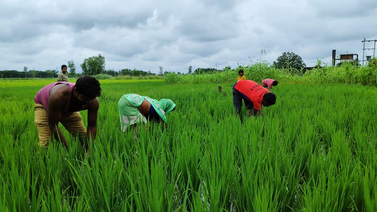 rainfall in city, farmers happy