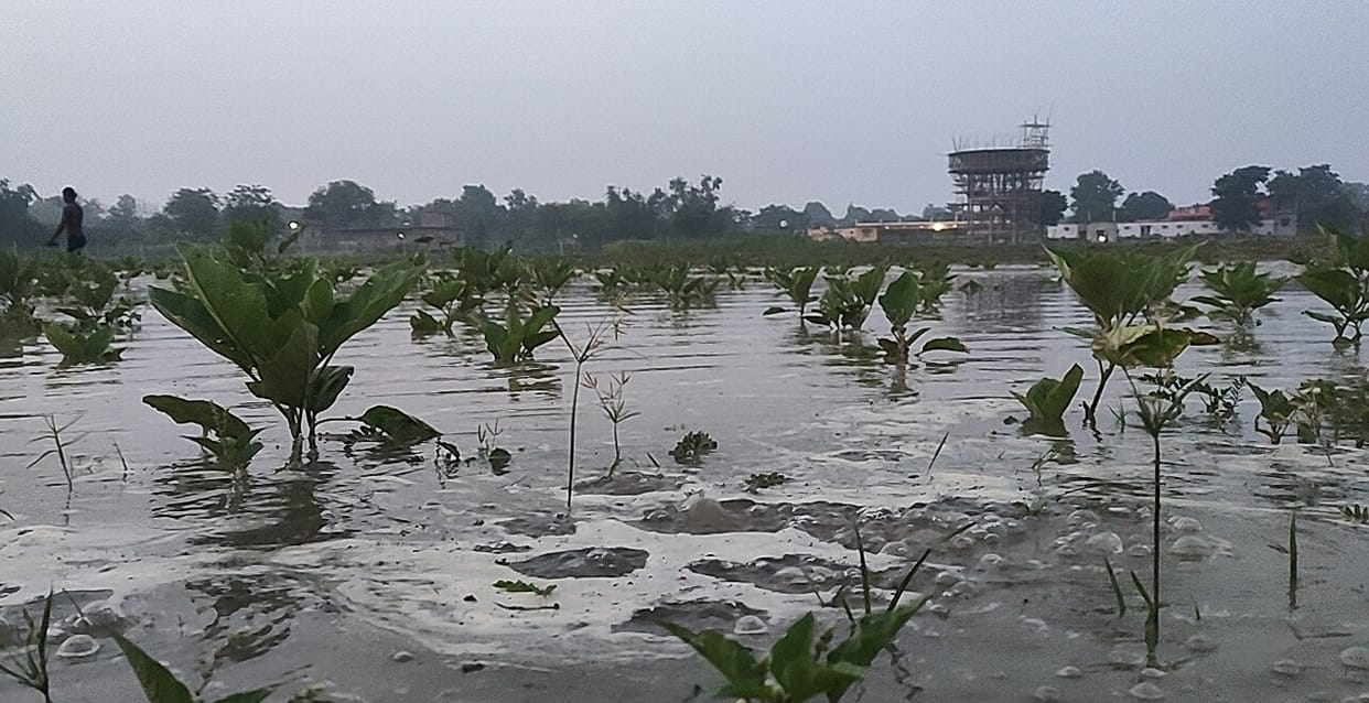 Around 12 villages surrounded, 50 thousand population affected