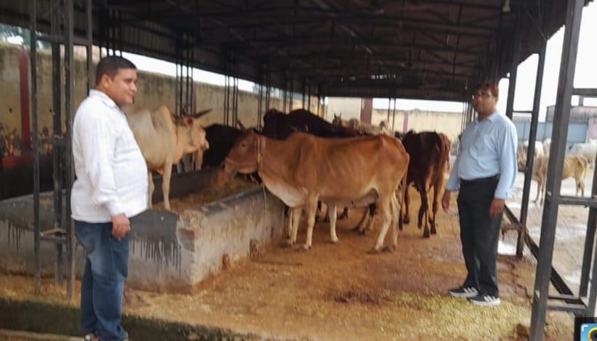 Lumpy Virus: Ban on transport and sale of animals