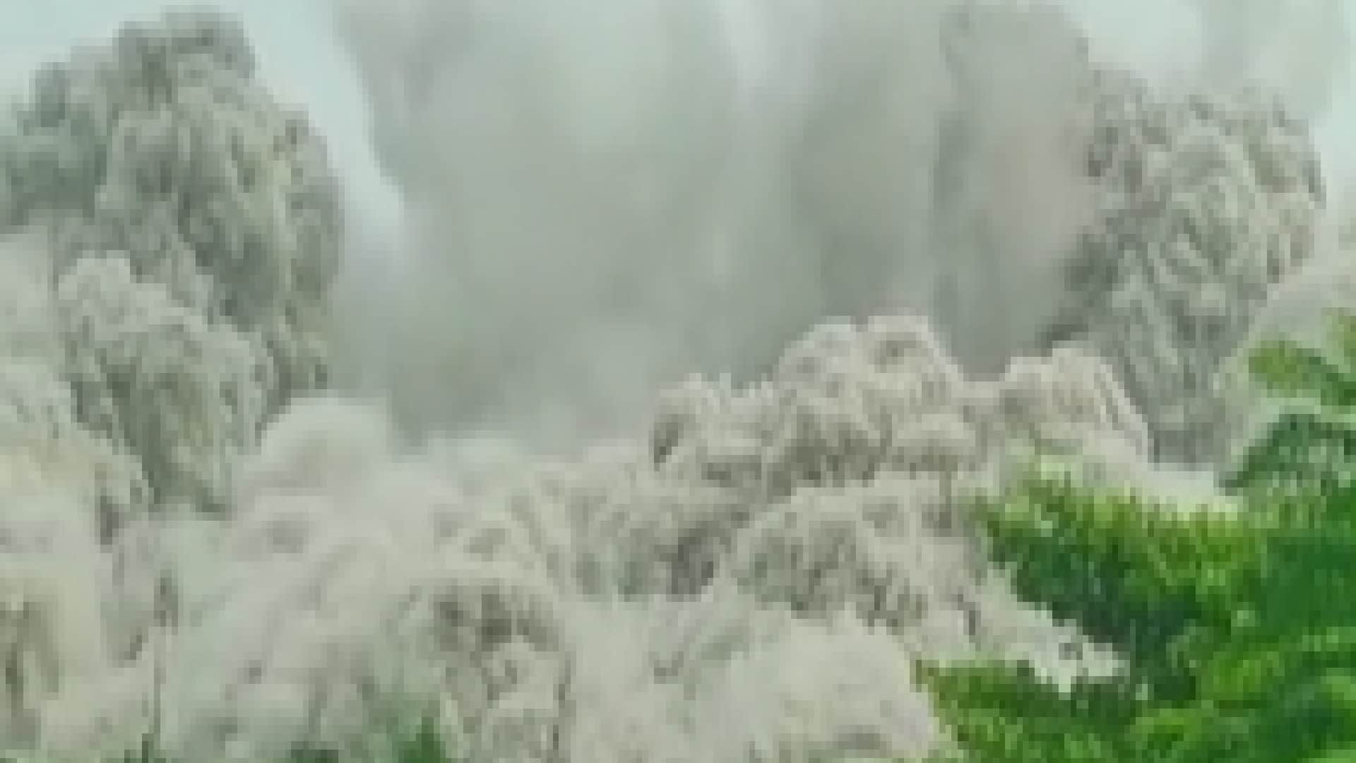 Supertech Twin Tower Demolition agra Family reached Noida after travelling 200 KM to see