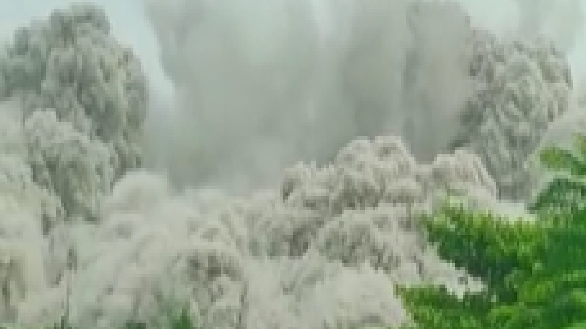 Supertech Twin Tower Demolition agra Family reached Noida after travelling 200 KM to see