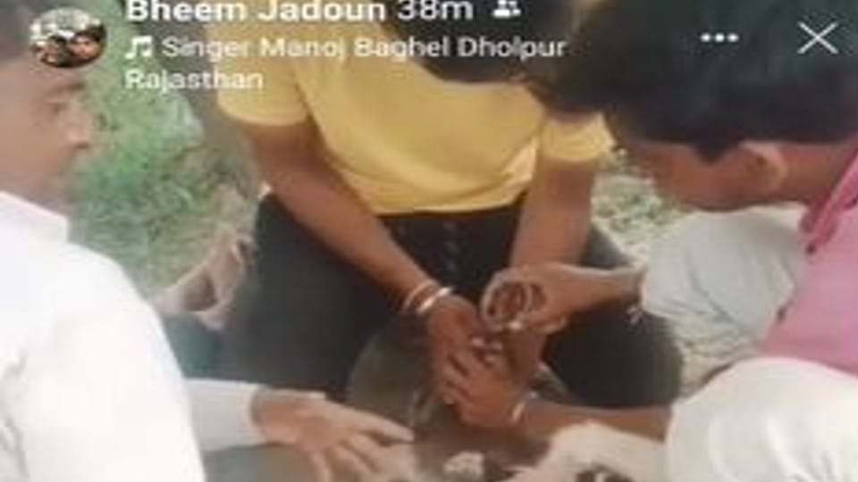 Four youths gave liquor to goat in Agra video goes viral