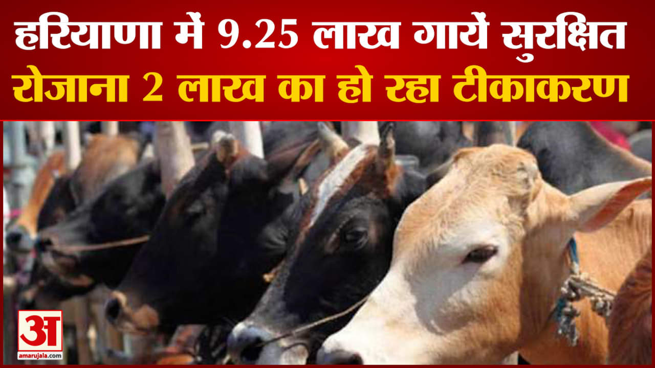 लंपी वायरस