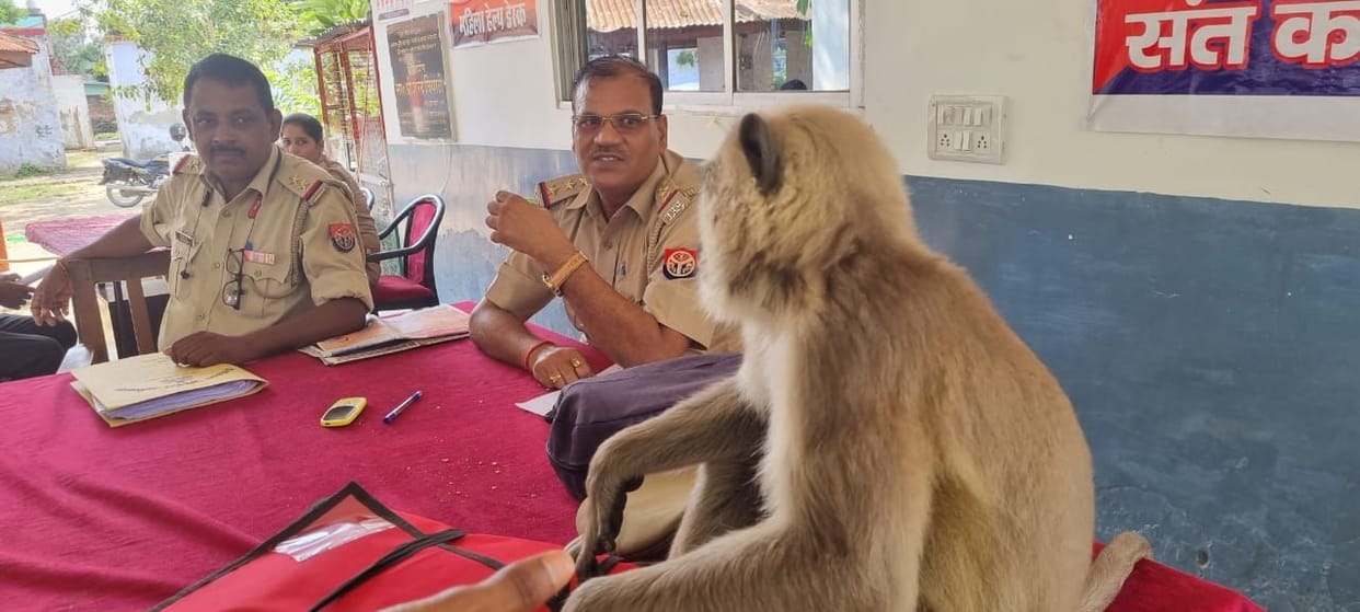 monkey ran away with mobile help desk and COG of inspector in charge