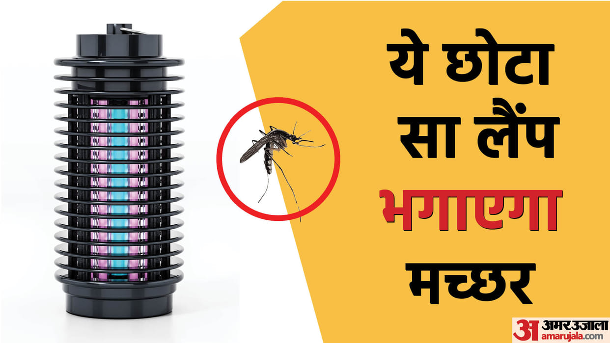 Lamp to Kill Mosquitoes Know Mosquito Killer Lamp Price in India 2022