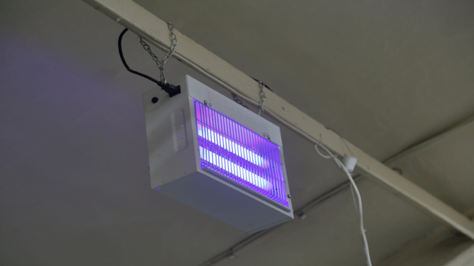 Lamp to Kill Mosquitoes Know Mosquito Killer Lamp Price in India 2022
