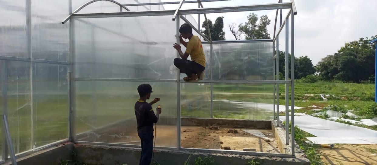 Farmers will get off-season vegetable plants