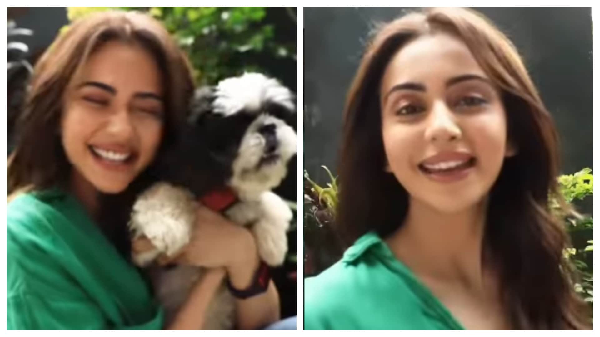 Rakul Preet Singh shares her cute video dancing on upcoming movie Cuttputli saathiya song
