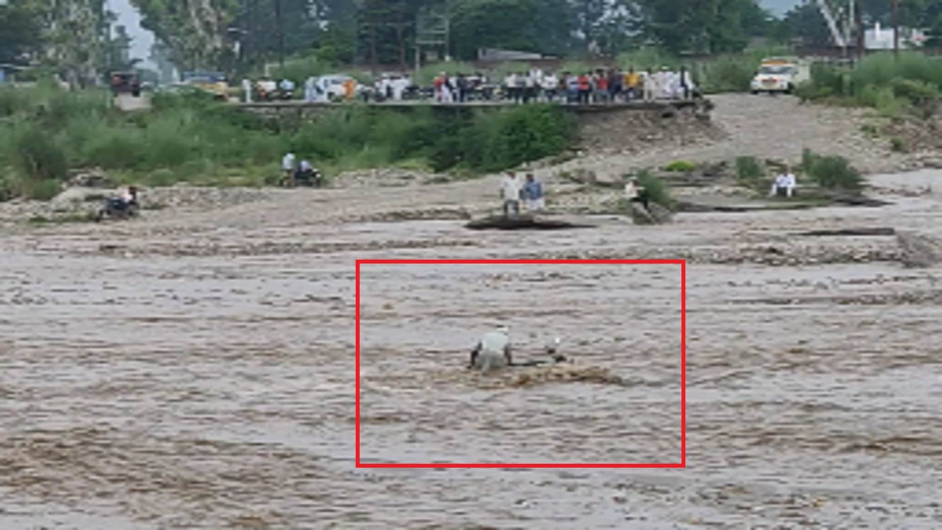 Water has increased in all rainy rivers of Saharanpur and 12 vehicles were washed away