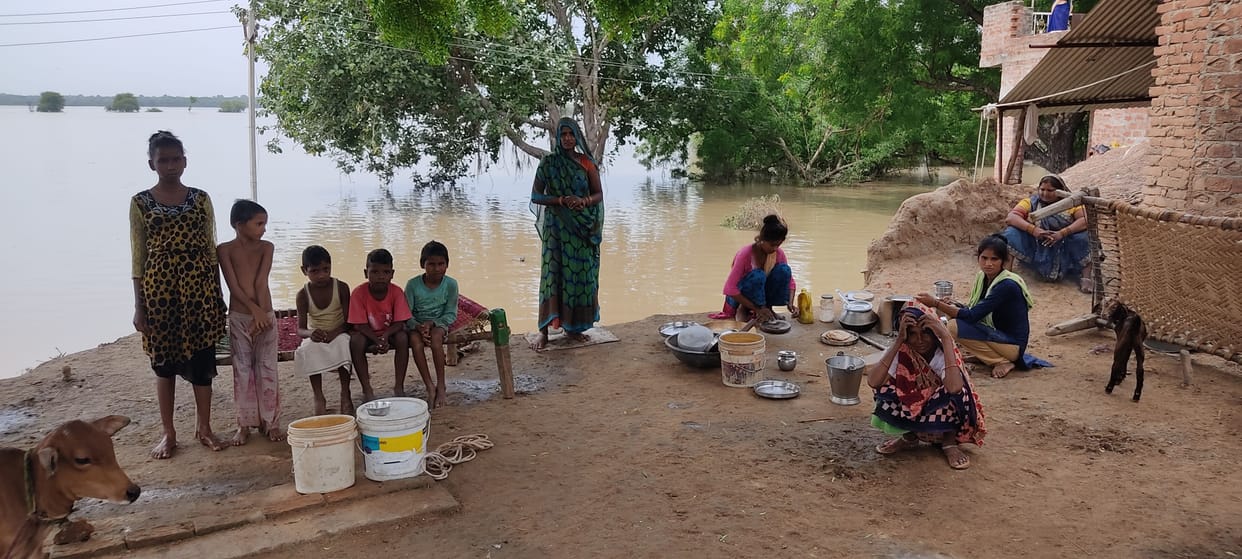 Kanpur Dehat : 13710 bigha crop wasted in flood, loss of about 227 lakhs