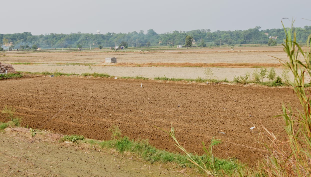 Potato sowing will start in the district as soon as the weather clears