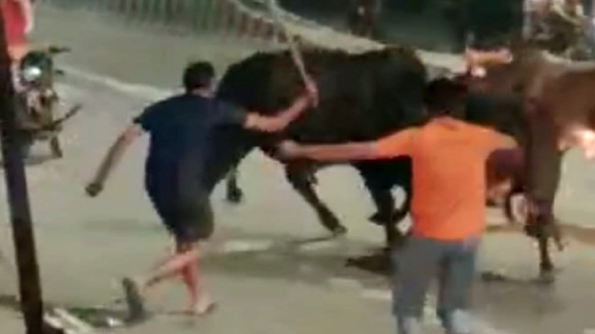 Stray animals Terror, killed a farmer in Muzaffarnagar, Bulls clashed on the highway in Baghpat