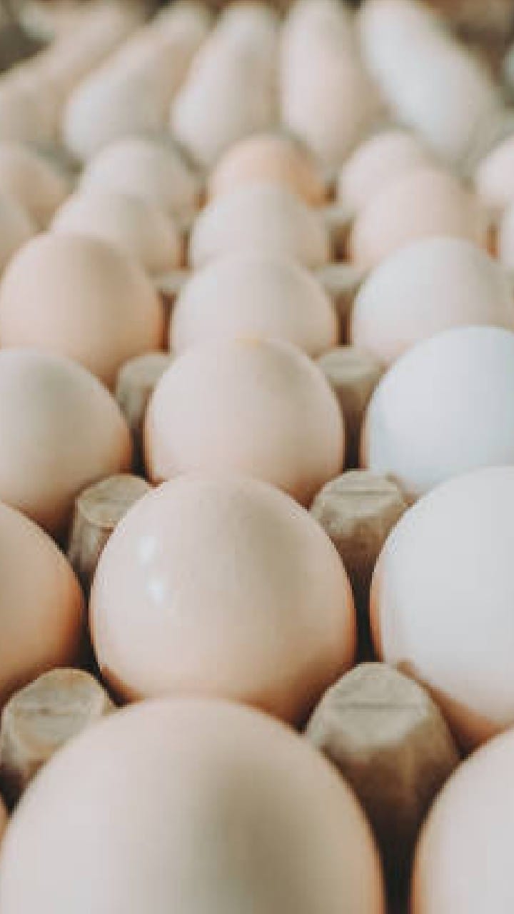 How To Identify Plastic and Fake Eggs Check here