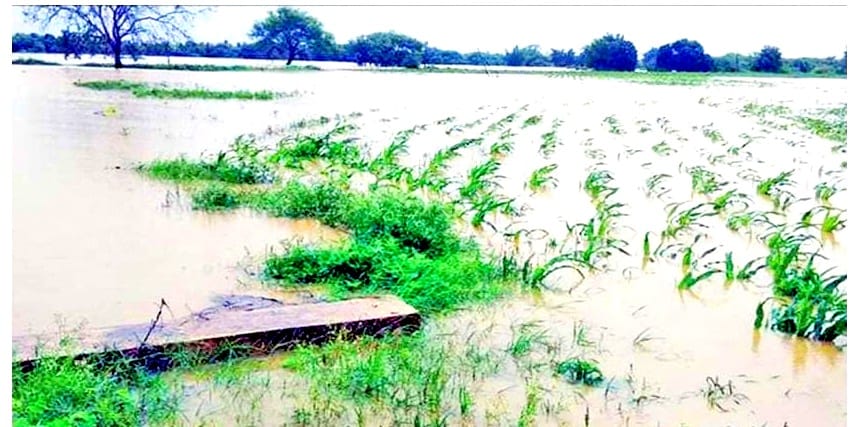 Water level of Yamuna and Ken rivers decreased in Banda, 75 percent crops were damaged in 46 villages
