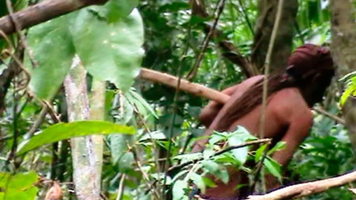 Last tribes of Brazil Last member of Indigenous Brazilian tribe dies news in hindi