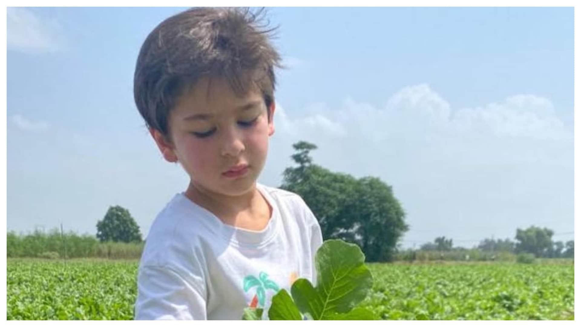millionaire bollywood  star kids abram khan taimur ali khan aaradhya bachchan viaan kundra