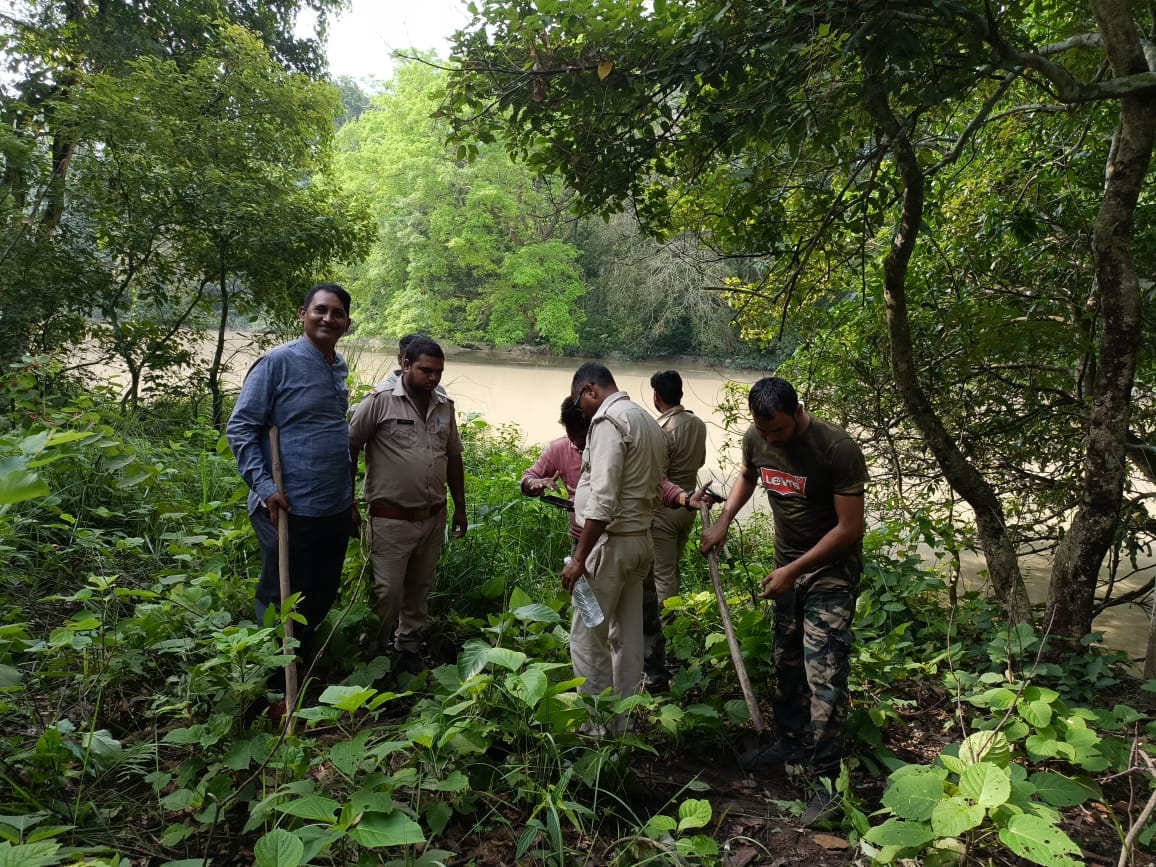 Nepal's elephant reached the bifurcation forest after being separated from the herd