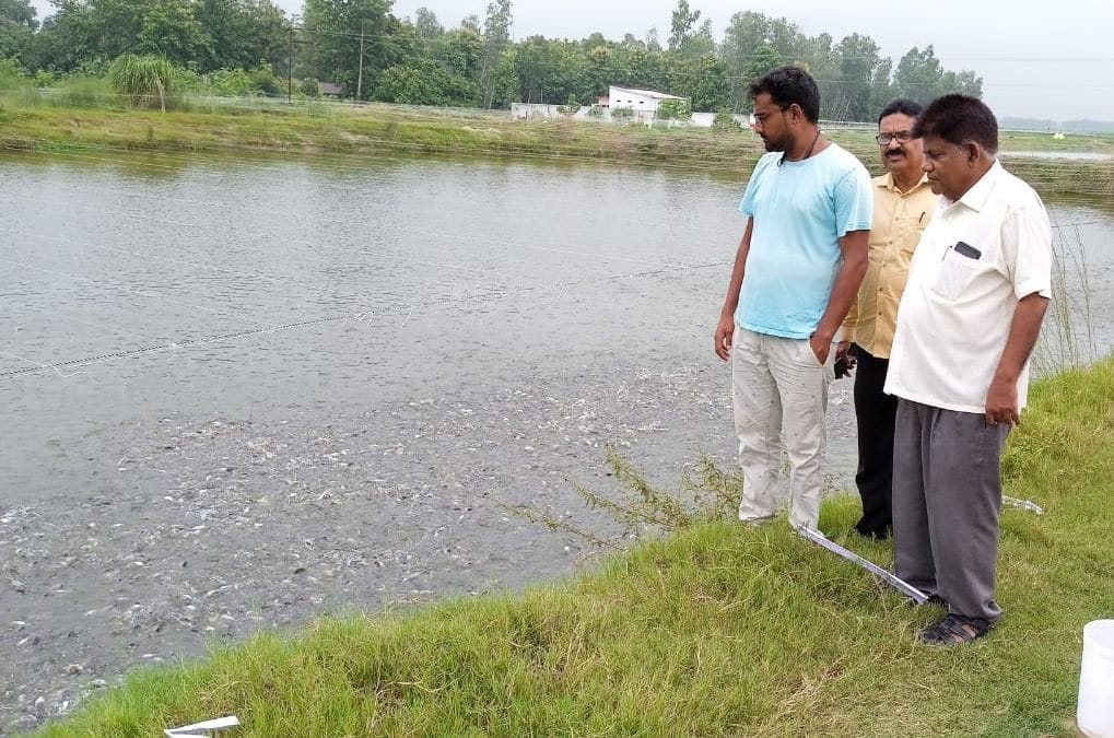 team visited fish pond