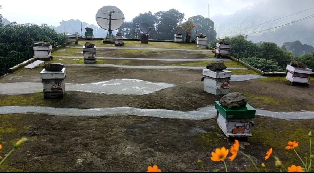 Honey Growth center in Shyamalatal