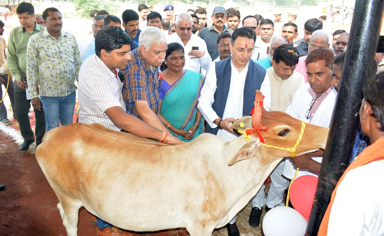 Hardoi, After the cow worship, the minister asked the question, remain silent and responsible