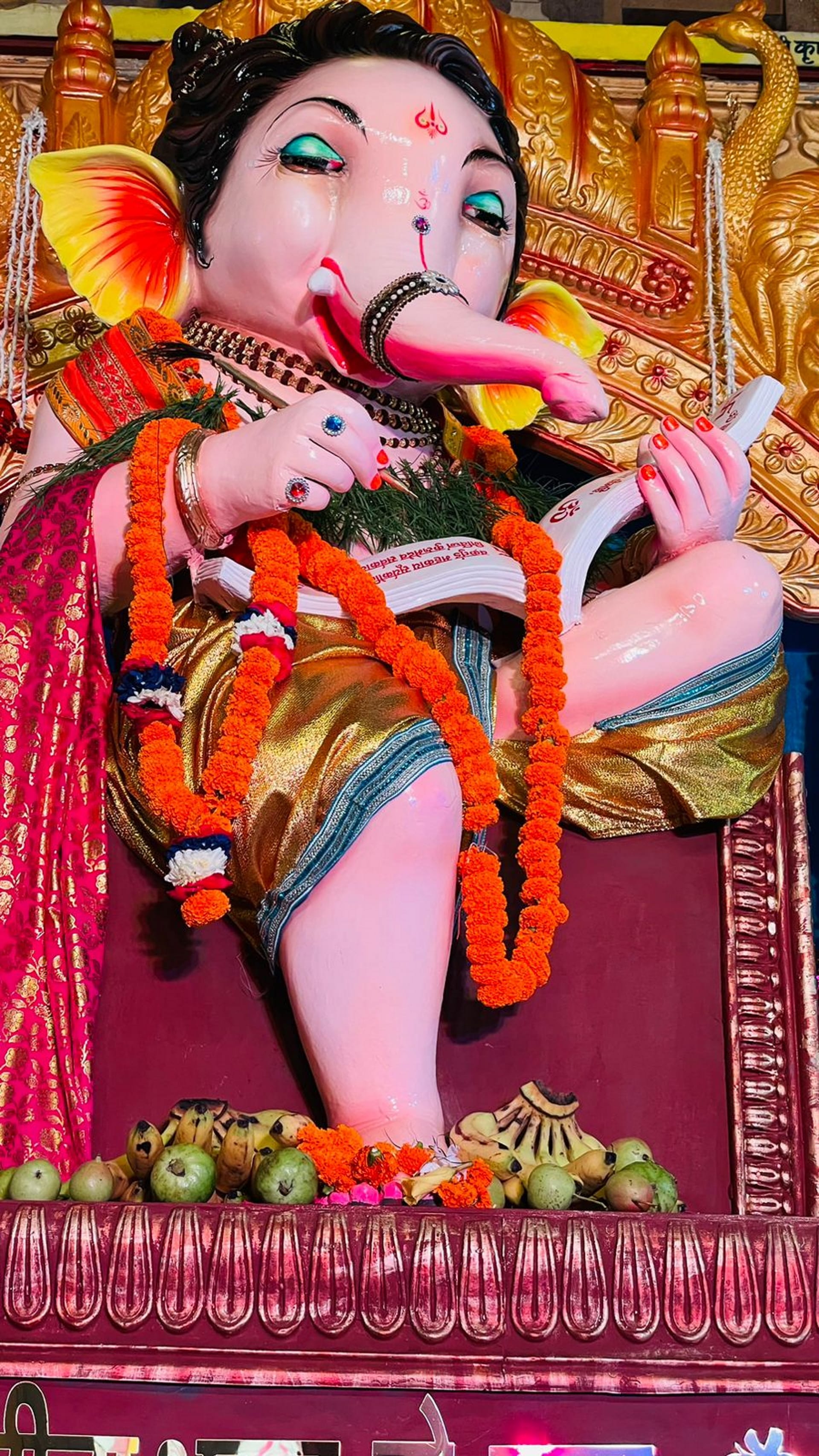 Ganesh Chaturthi 2022: Ganpati Bappa Ganesh Chaturthi celebration in dehradun