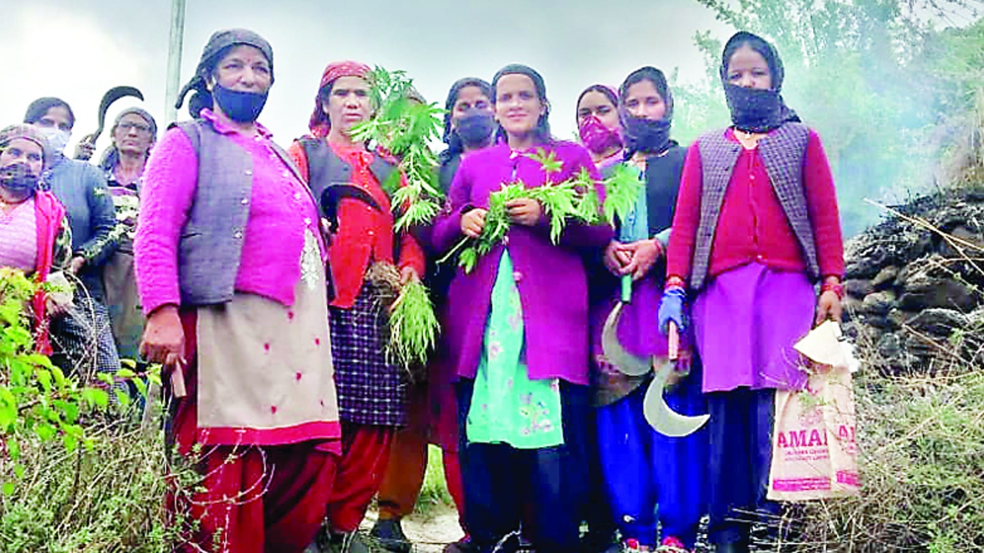 Himachal: From startup funds to five lakh jobs, Congress made 10 promises, know what BJP and AAP did?