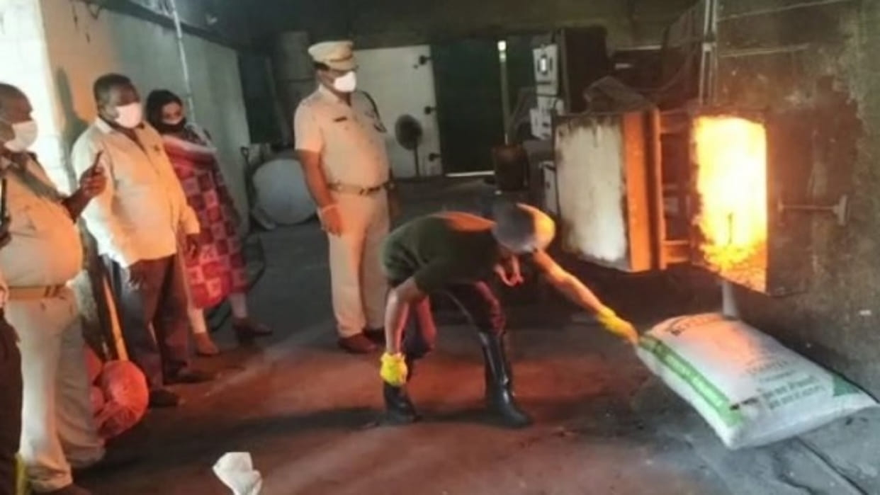 One tonne of Ganja seized from smugglers destroyed in Odisha