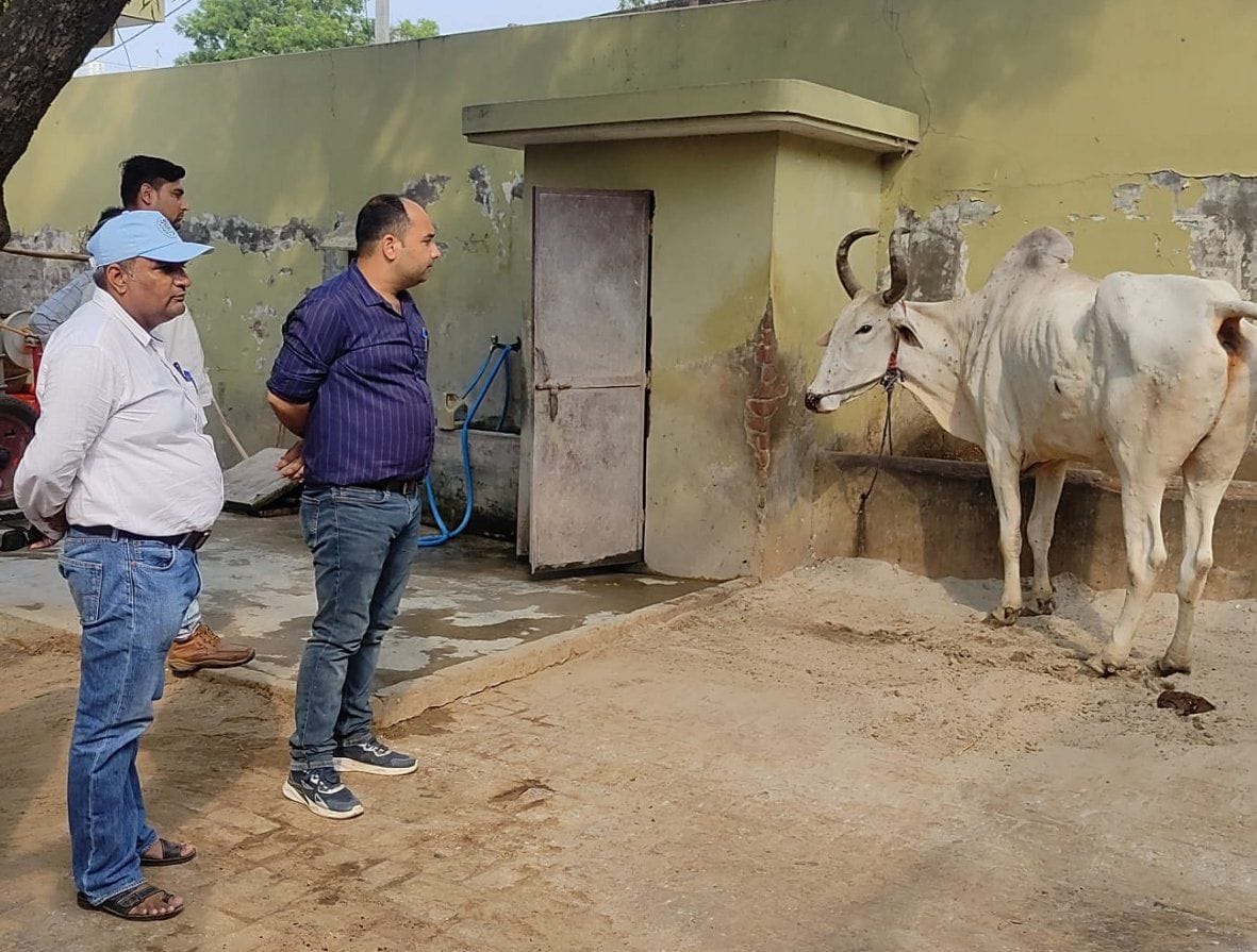 Lumpy killed two animals, 90 recovered