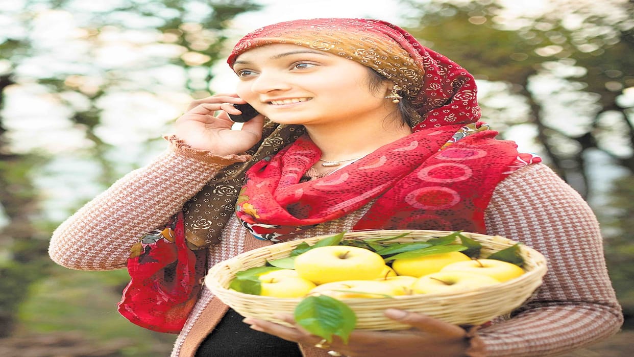 Himachali people wrote the story of development from apple