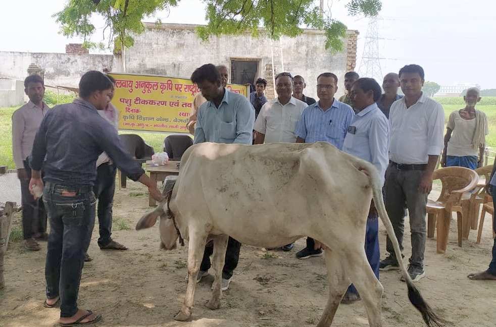 Throttle fatal, animal caretakers do not take care
