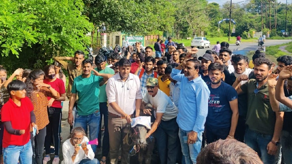 Movement continues to save land of Indore Agricultural College