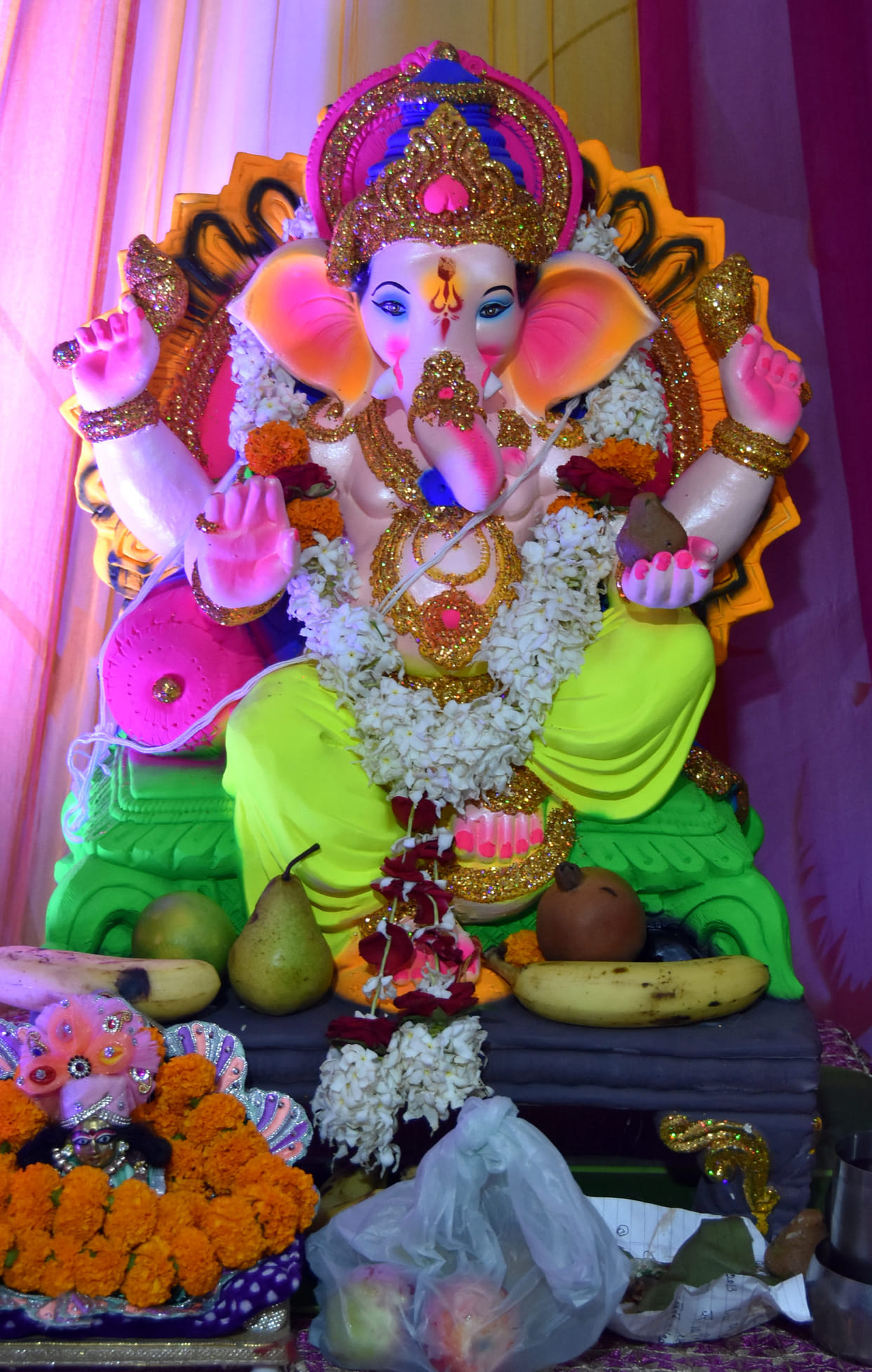 Lord Ganesh arrived in the house, echoed Ganpati Bappa's cheers
