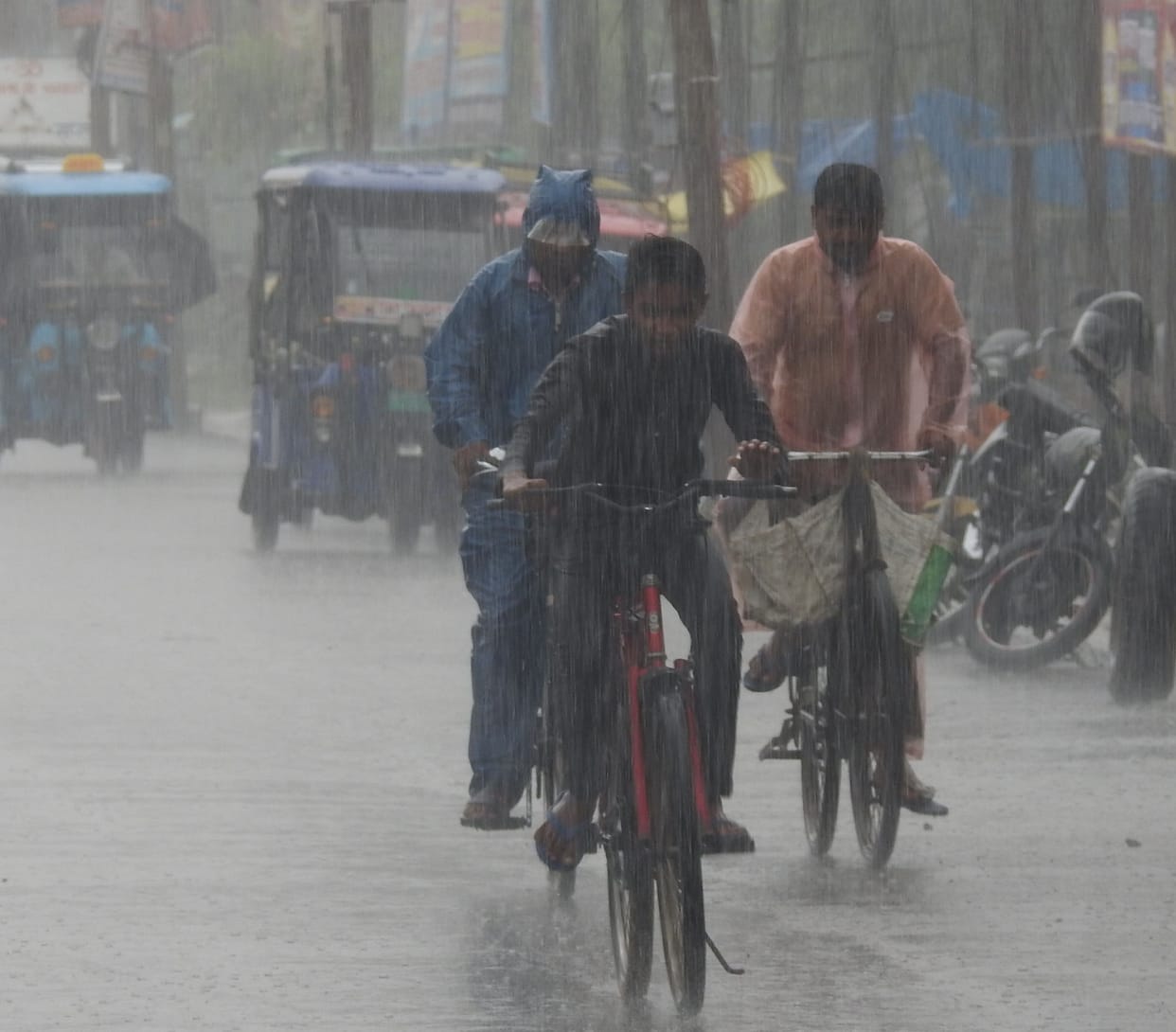 rainfall in siddharthanagar
