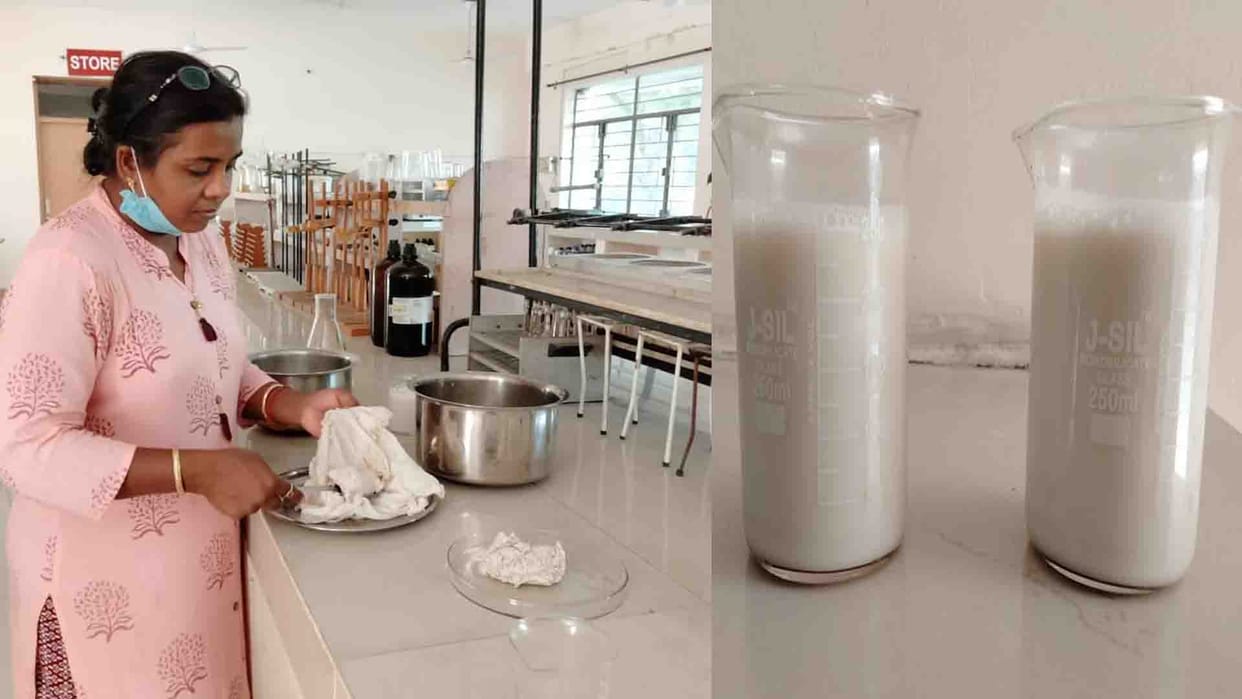 CSA Kanpur scientist made milk from cowpea, prepare it at home