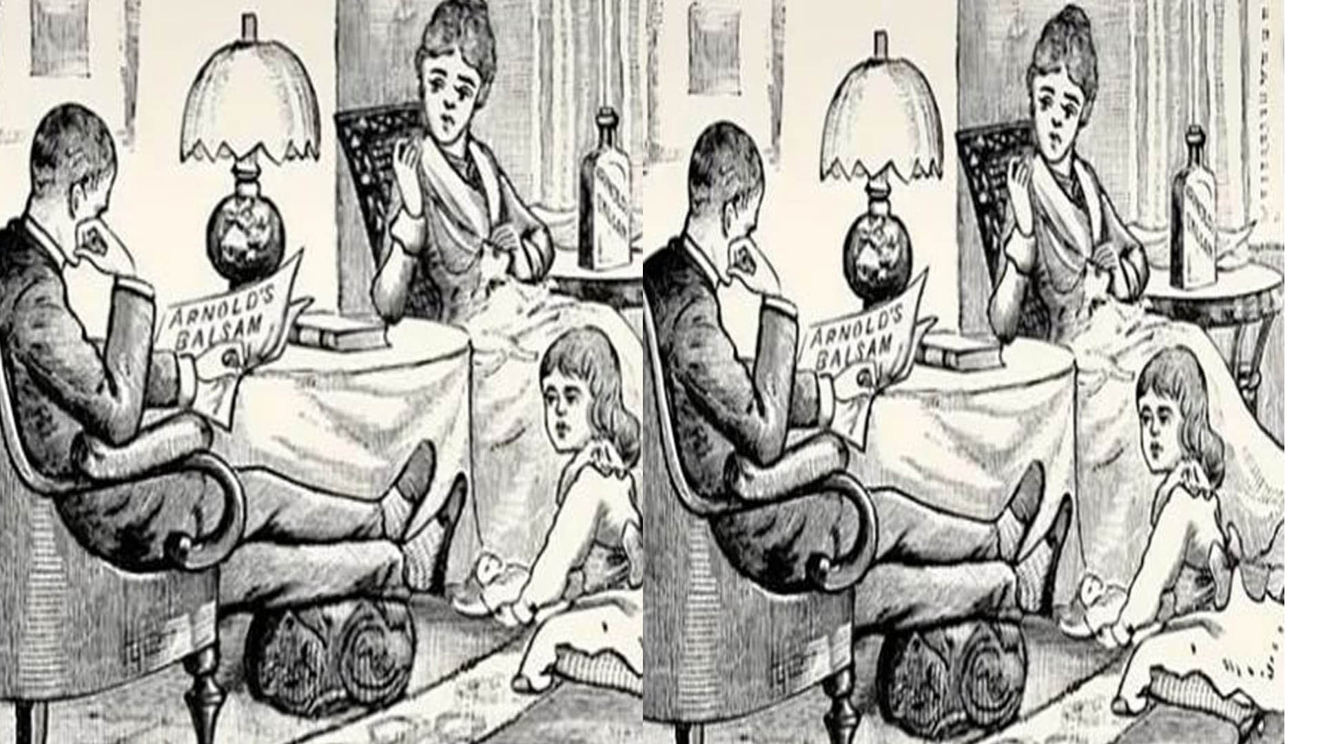 optical illusion iq test two cats are hidden in this photo 99 percent people failed news in hindi