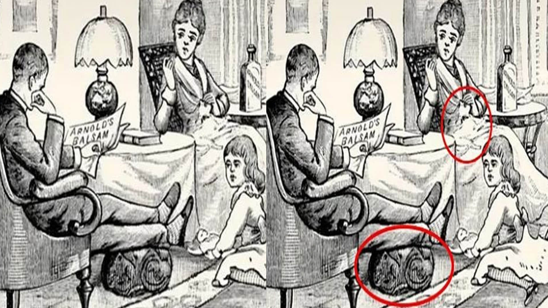 optical illusion iq test two cats are hidden in this photo 99 percent people failed news in hindi