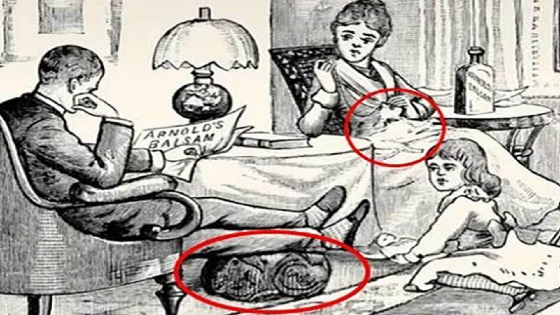 optical illusion iq test two cats are hidden in this photo 99 percent people failed news in hindi