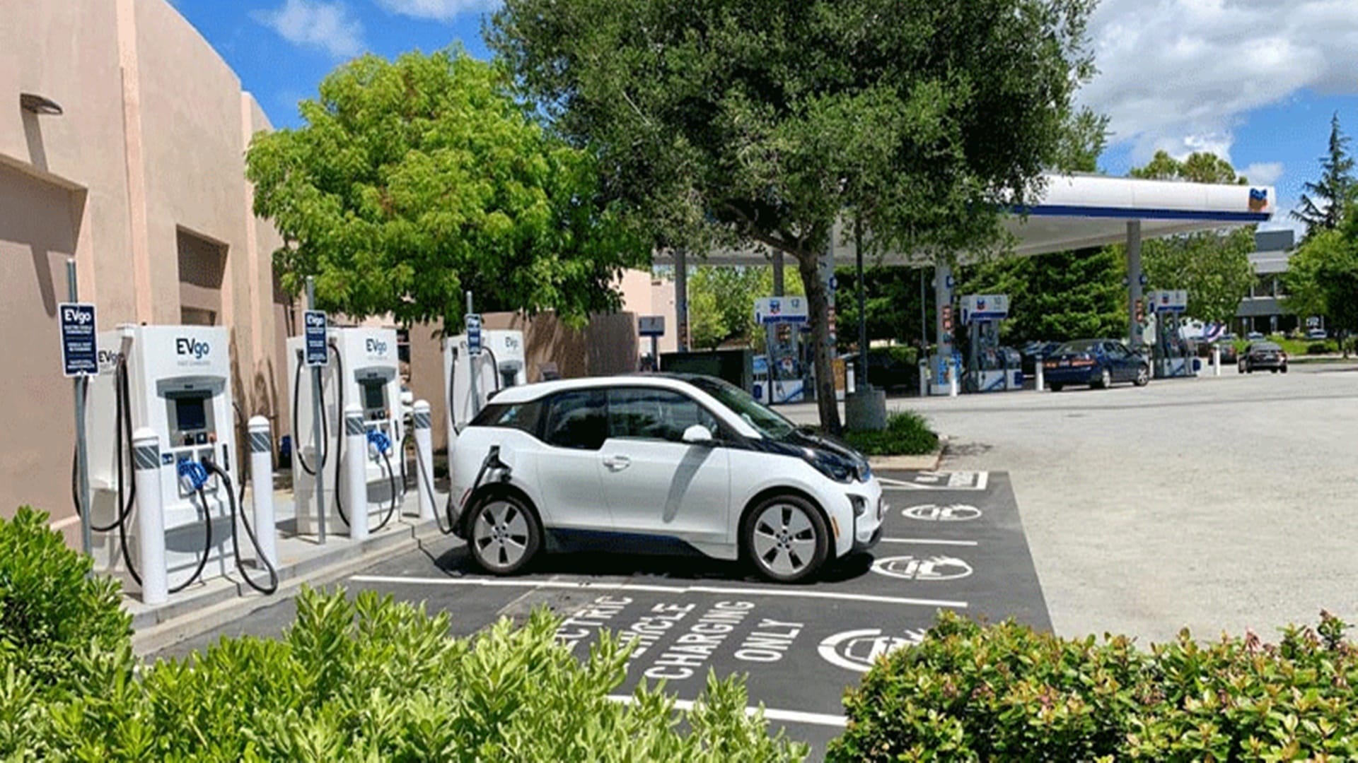 global car sales forecast 2024 electric vehicles sales forecast