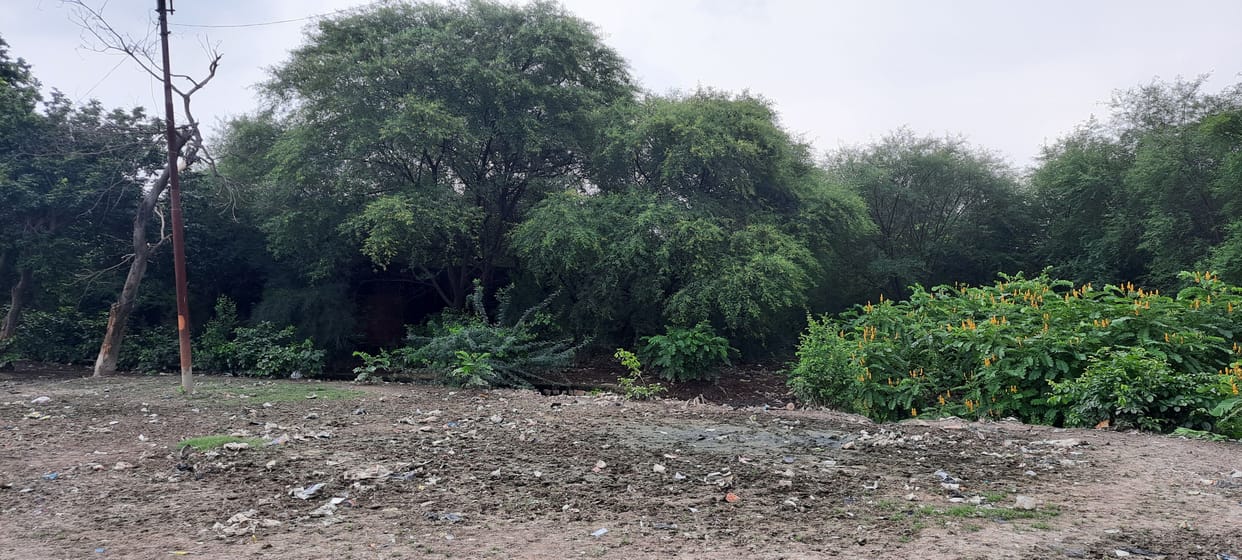 Banda : Illegal occupation of 94,352 square meter government land... 16-01-14