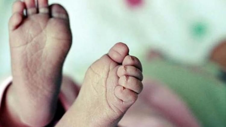 Mungeli: जाको राखे साइयां मार सके न कोय, नवजात को मरने के लिए बाड़ी में छोड़ा, जानिए फिर क्या हुआ